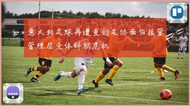 意大利足球再遭重创足协面临接管管理层全体辞职危机