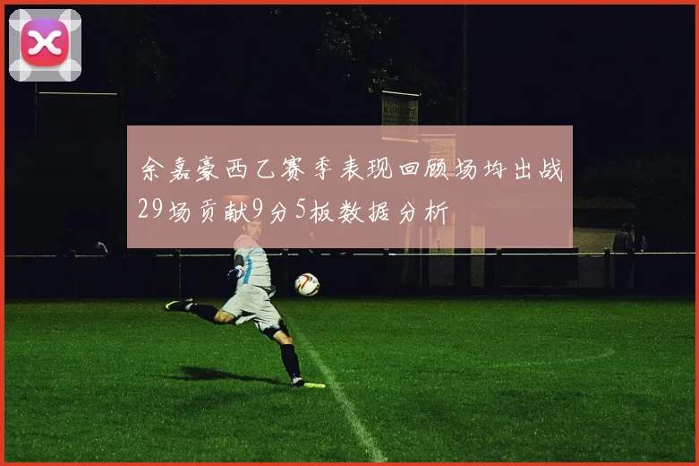 余嘉豪西乙赛季表现回顾场均出战29场贡献9分5板数据分析