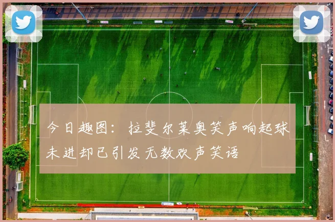 今日趣图：拉斐尔莱奥笑声响起球未进却已引发无数欢声笑语